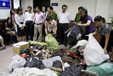 Khoa học công nghệ: Xử lý xâm phạm quyền sở hữu công nghiệp hàng tỉ đồng